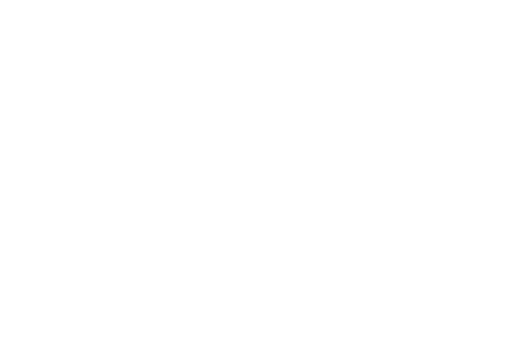 STEINON