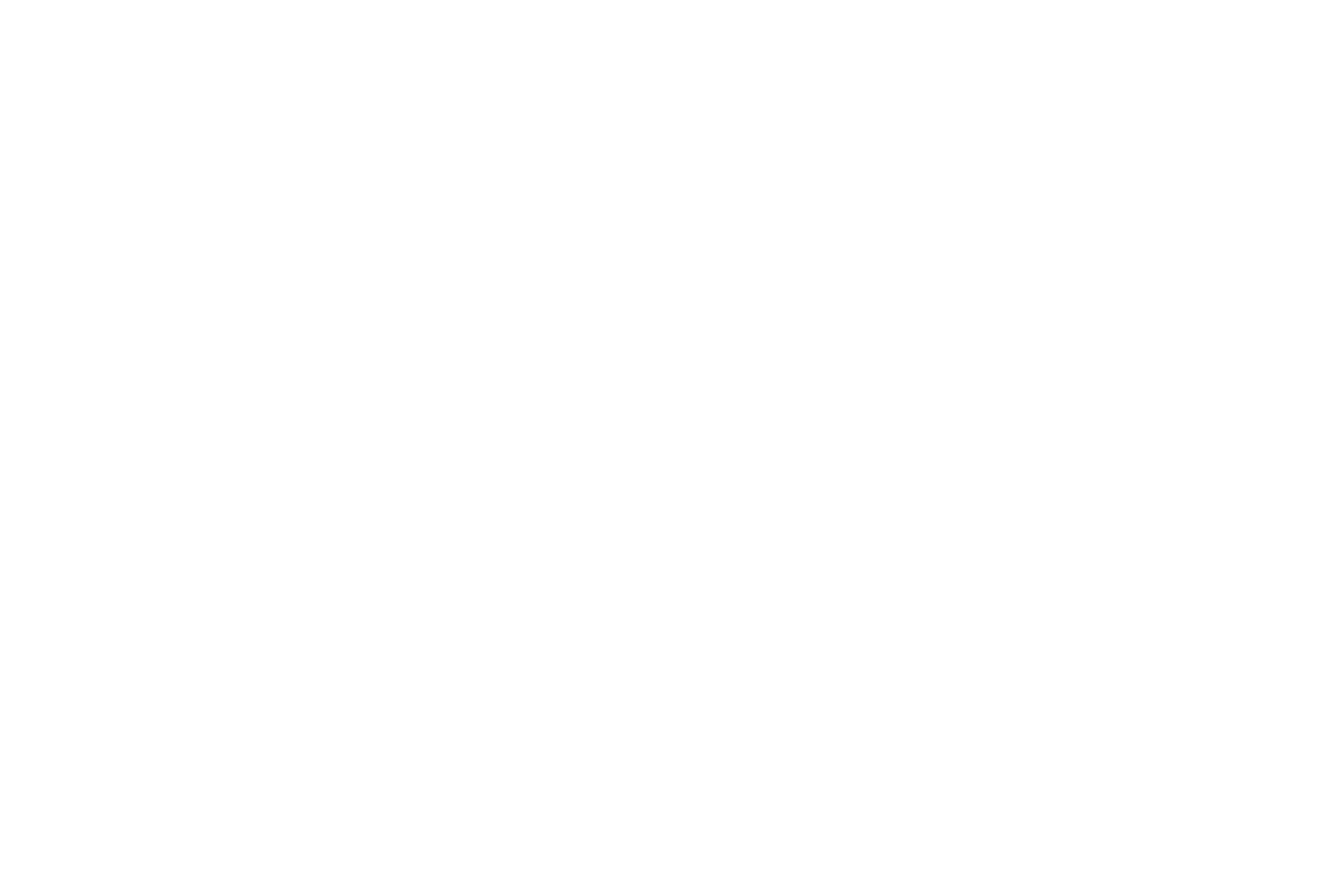 STEINON